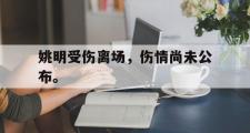 乐鱼体育-姚明受伤离场，伤情尚未公布。
